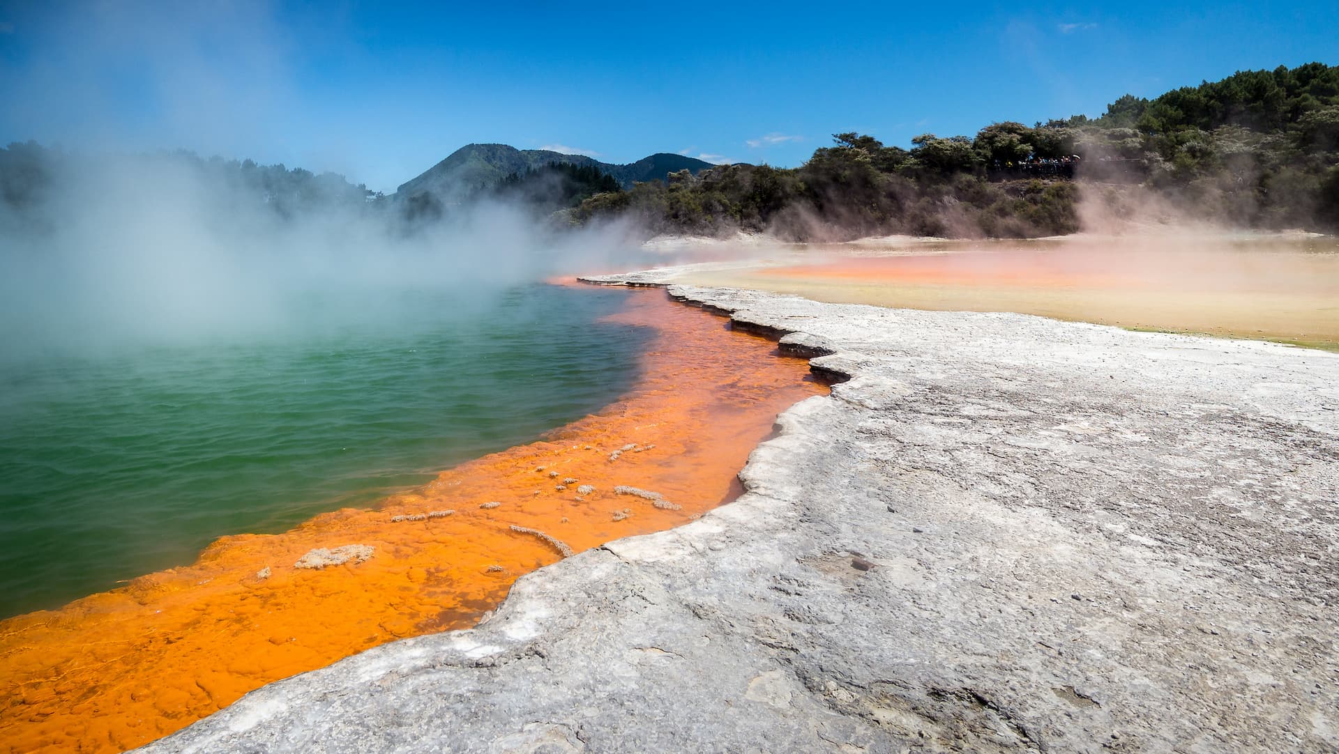 Rotorua, New Zealand Two Days- What to do?